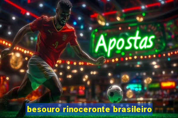 besouro rinoceronte brasileiro